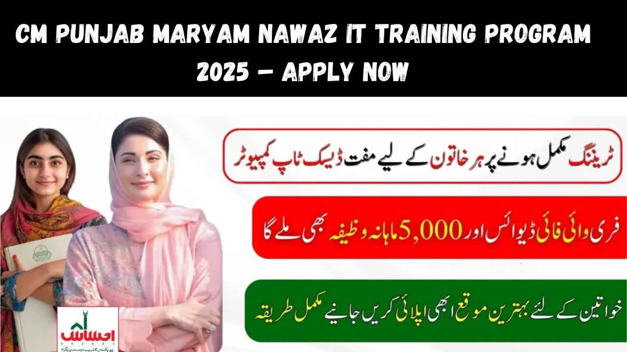 CM Punjab Maryam Nawaz IT Training Program 2025 – Apply Now
