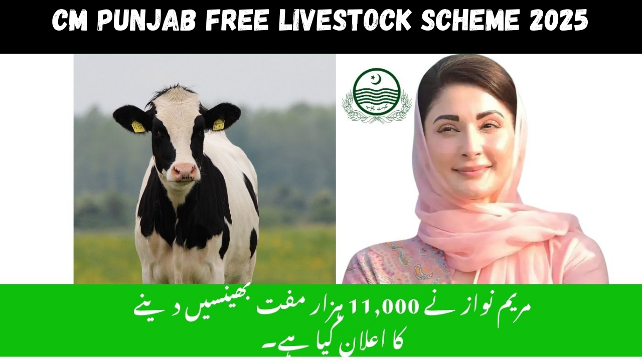 CM Punjab Free Livestock Scheme 2025